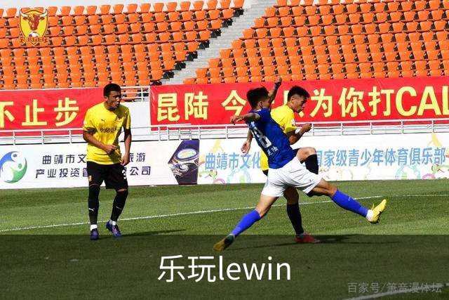 乐玩lewin公司简介图片